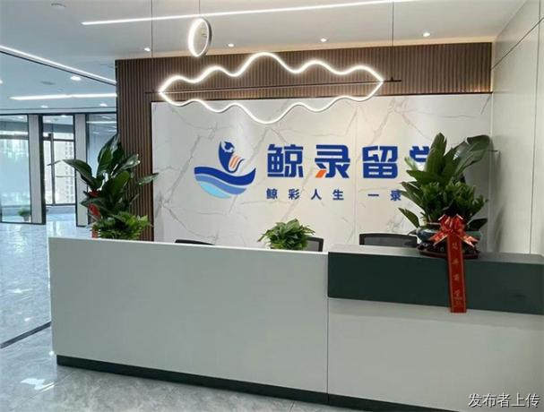 GPA 3.8、托福110、三段实习，为什么还是被梦校拒绝？
