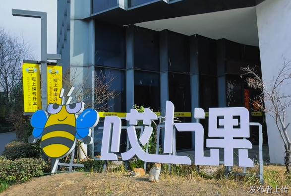 2026年河北专升本哪个机构好？廊坊护理学考生实测清单