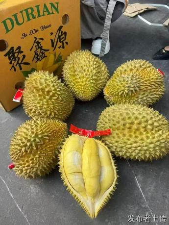 鑫荣懋榴莲的品质保障:清谷果业的匠心呈现