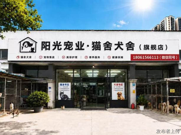 无锡实体宠物店盘点，实地甄选靠谱购宠门店