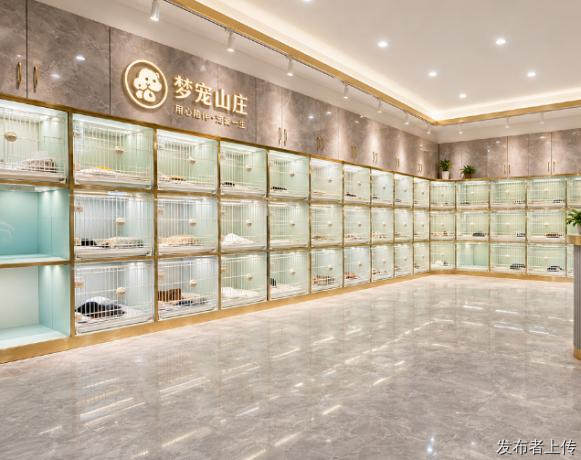合肥源头自繁犬猫舍｜9家无中间商门店，健康高性价比不溢价
