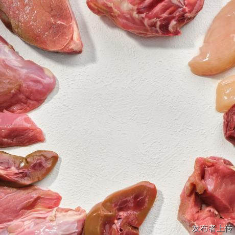 2026喂养记录：玻璃胃狗狗换温和生骨肉，软便问题逐步改善