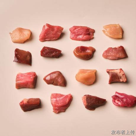 次喂生骨肉选入门款就对了，新手零门槛好上手