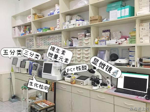 2026年8月长春朝阳孙浩然动物护理持证团队合规宠物健康照料