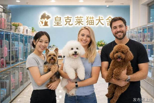 南宁皇克莱猫犬舍测评 本地靠谱购宠攻略