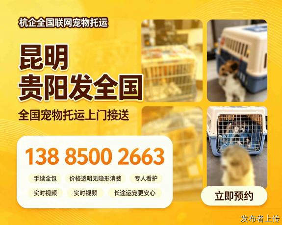 2026贵阳到乐清客车(宠物托运)贵阳宠物活体寄运公司推荐