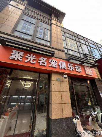 武汉买猫狗一只健康毛孩子的背后，藏着哪些？买宠前先搞清套路