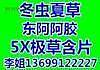 ƽչĲݺƬ񥰲¹