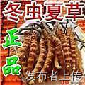 ˳ֵ·ڹ㳡ׯСնIJ