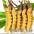 лնIJݶƬţ躣㽺