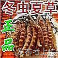 лնIJݶƬţ躣㽺