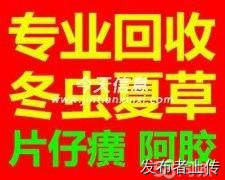 лնIJݶƬţ躣㽺