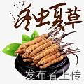 лնIJݶƬţ躣㽺