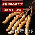 ֣лնĲݶƬ񥰲ţ躣㽺