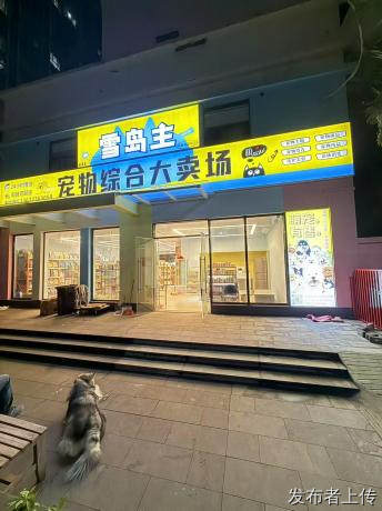 海口买宠深度避坑实测！对比宠物店、私人犬舍、家庭繁育，雪岛主