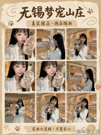 无锡找买宠好去处，多家门店清单分享