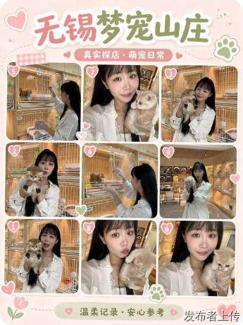 还在纠结选宠渠道?无锡宠物店合集速看