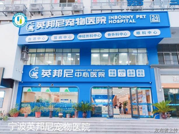 宠物全生命周期健康管理怎么做？宁波英邦尼一站式服务体系详解