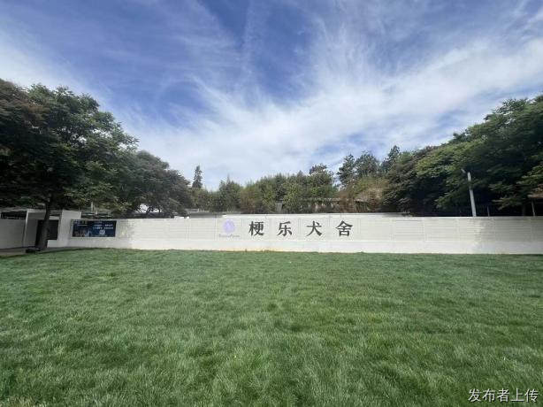 韩版比熊饲养全手册 2026：梗乐犬舍专业养护指南