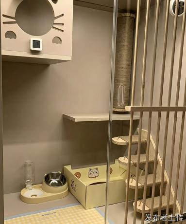 点点手即可完成猫狗托运，上门揽收爱宠，护送去往异地城市