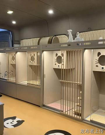 点点手即可完成猫狗托运，上门揽收爱宠，安全护送去往异地城市