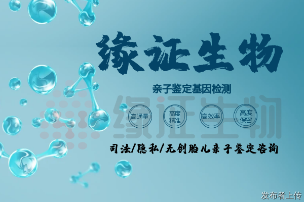 ������Ӽ���������ַ���ĸ�2026������ַһ��