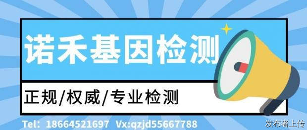 ���ص���רҵȫ�����Ӽ�������ȫ��2026���Ŀ�����£�