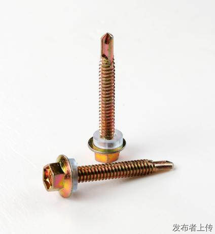 ˿βʸ߶β˿β5.5