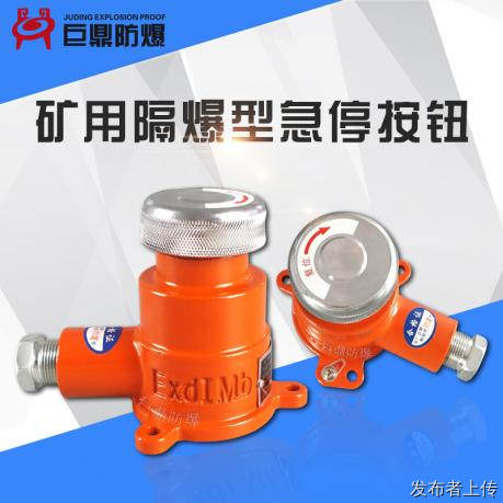 矿用隔爆型急停按钮BZA2-5 36J (A)
