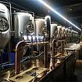珠海300升小型酒馆精酿啤酒设备