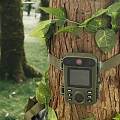 H66MINI С˶г