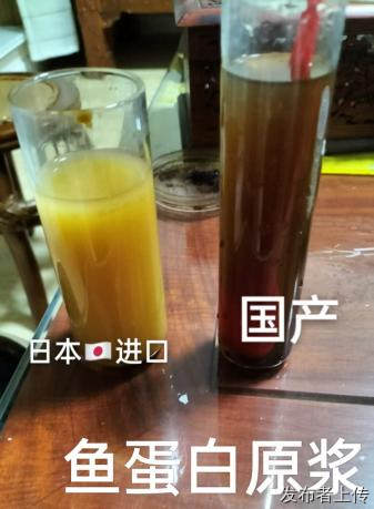 2026青岛崂山进口特肥新手指南