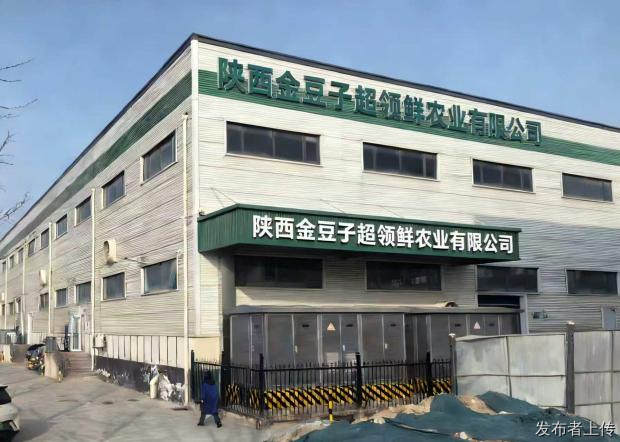 西安金豆子豆芽工厂书写企业与地方共生答卷
