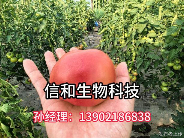 想要高产又优质？富硒菌剂轻松搞定