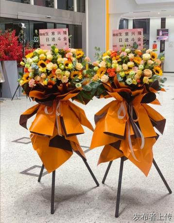 南宁市工人文化宫花店百货大楼开业花篮盆景绿植附近鲜花店送花